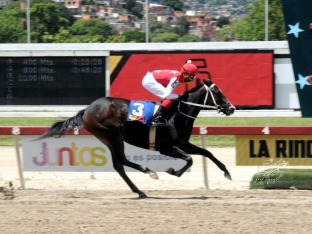 Fast-Sensations-va-por-la-repetida.png