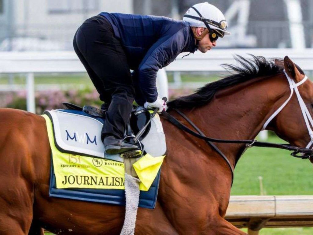 Journalism-es-el-favorito-en-el-Preakness-Stakes.jpg