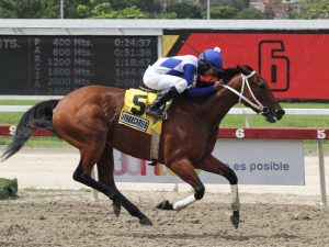 Murio-yegua-Lyndacarter-campeona-en-2022-y-2023.jpg