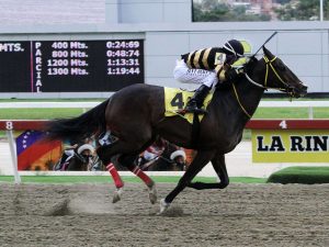 Favoritos-de-Lider-Hipico-en-jornada-sabatina.jpg