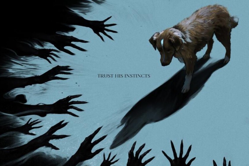 ¿Una-pelicula-de-terror-protagonizada-por-un-perrete-Existe-y.jpeg