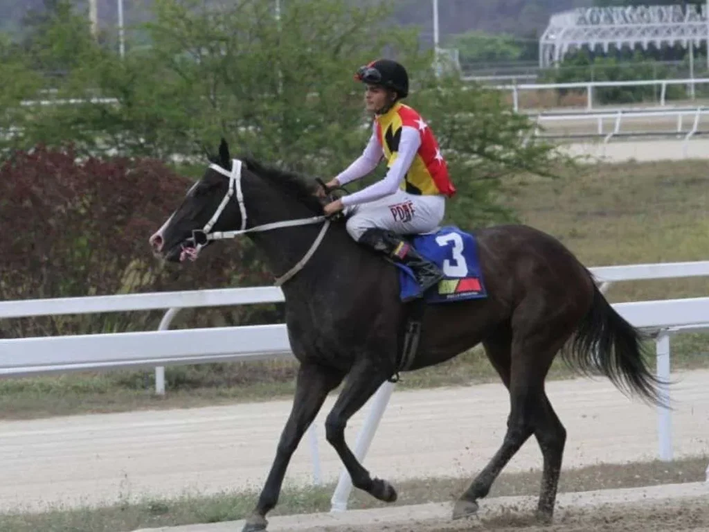 Fast-Sensations-y-Special-Element-listos-para-el-Bolivar.jpg