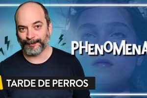 La-calma-se-vuelve-inquietante-entre-chimpances-millones-de-larvas.jpeg