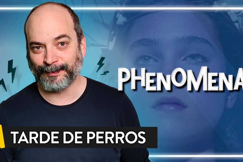 La-calma-se-vuelve-inquietante-entre-chimpances-millones-de-larvas.jpeg