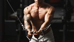 hipertrofia, fuerza, gym