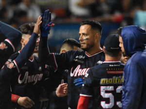Tigres. Carlos Rivero