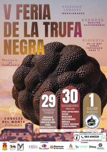 Feria-de-la-Trufa-Negra-2025-de-Cogeces-del-Monte.png