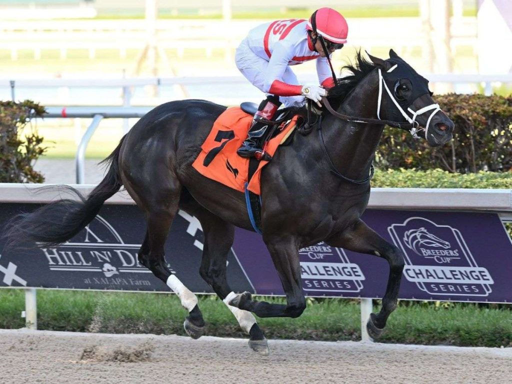 Kikito-DAngelo-se-anoto-las-2-Breeders-Cup-Sprint.jpg