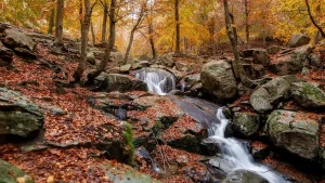 Montseny-esencial-10-rutas-que-no-te-puedes-perder-en.webp.webp
