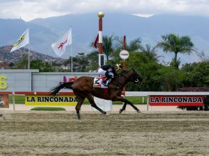 Mundo-Hipico-acerto-10-primeros-favoritos.jpg