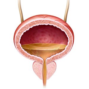 Una-biopsia-liquida-mejora-el-tratamiento-del-cancer-de-vejiga.jpg