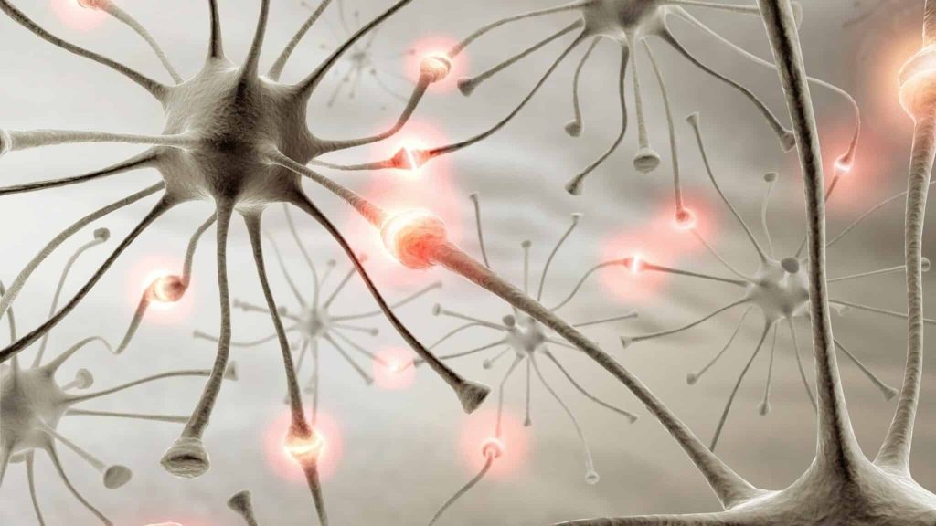El-ejercicio-mejora-la-capacidad-cognitiva.jpg