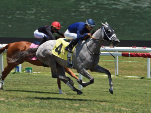 Jockey-Challenge-56-contara-con-fustas-de-lujo.png