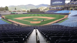 LVBP-Leones-y-Tiburones-de-baja-Caracas-se-quedo-sin.webp.webp