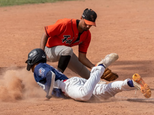 Liga-Argentina-de-Beisbol-entra-en-etapa-de-definiciones.png