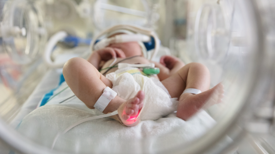 Los-bebes-prematuros-presentan-un-mayor-riesgo-de-sufrir-perdida.png