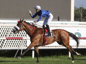 Noche-Sublime-brillo-en-Las-Oaks-G1-de-Chile.png