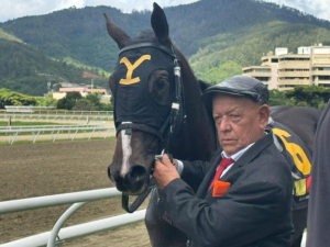 Stud-Yellowstone-se-consagro-campeon-de-la-estadistica.png
