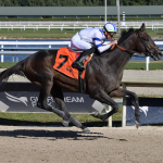 Tuscan Gold gran favorito en los 3.200