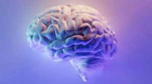 ¿Dianas-artificiales-para-hacer-llegar-medicamentos-al-cerebro-–-Salud.png