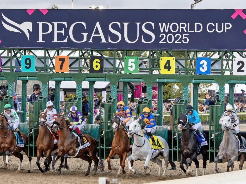 12-invitados-a-la-Pegasus-World-Cup.png