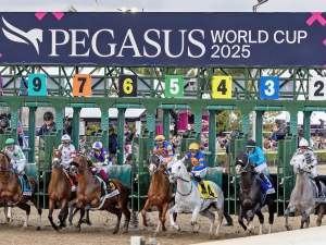 12-invitados-a-la-Pegasus-World-Cup.png