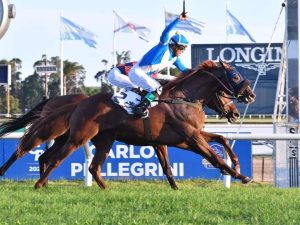 Breeders-Cup-anuncio-calendario-2026.jpg