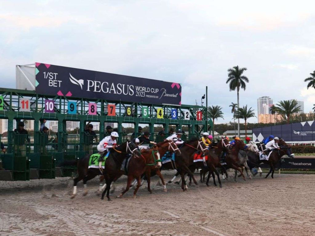 Criollos-van-por-la-Pegasus-World-Cup.jpg