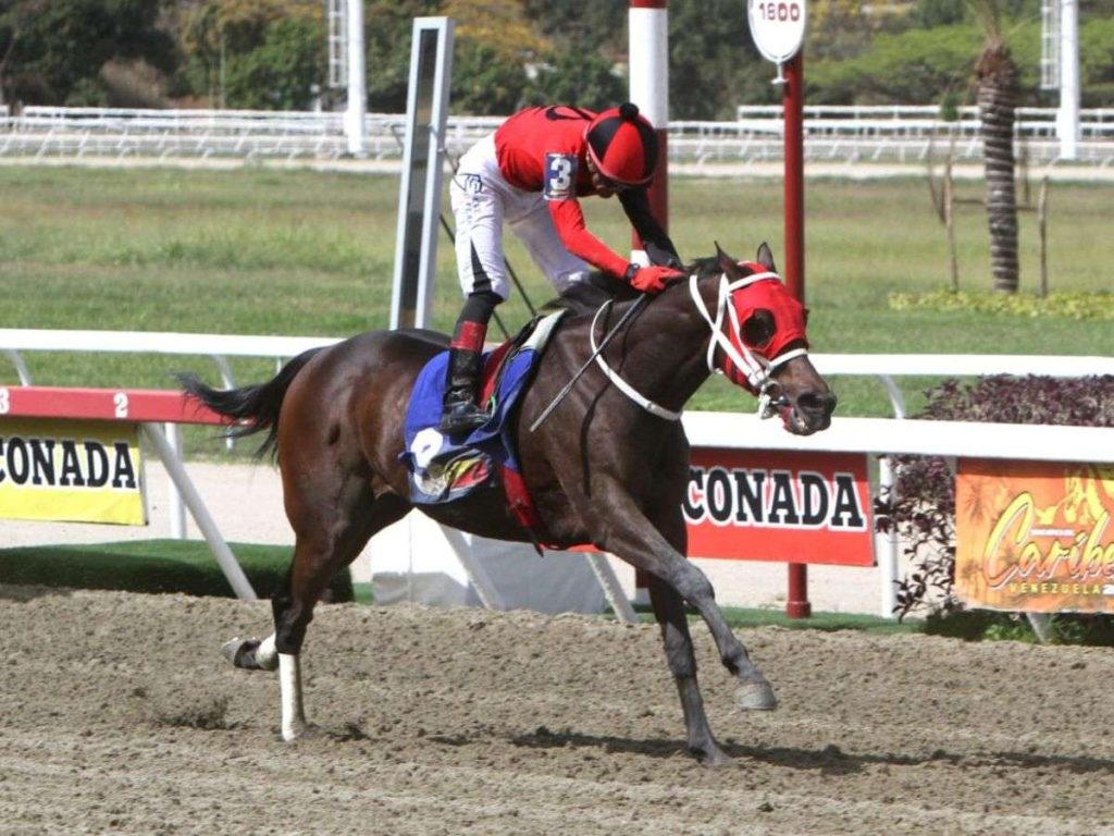 El-importado-Ekati-King-remato-con-fuerza-y-gano.jpg