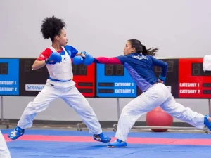 Karate-do-listo-para-el-subir-al-tatami.jpg