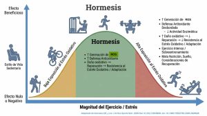 Antioxidantes-y-ejercicio-Fisiologia-del-Ejercicio-by-Dr-Lopez.jpg
