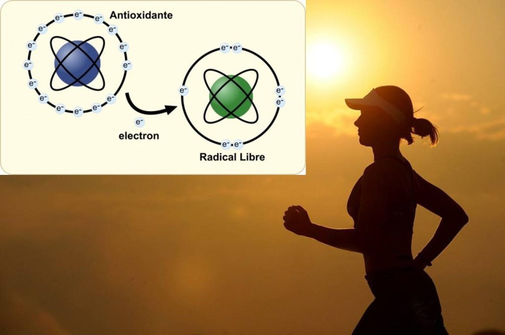 Ejercicio-y-senalizacion-redox-Fisiologia-del-Ejercicio.jpg