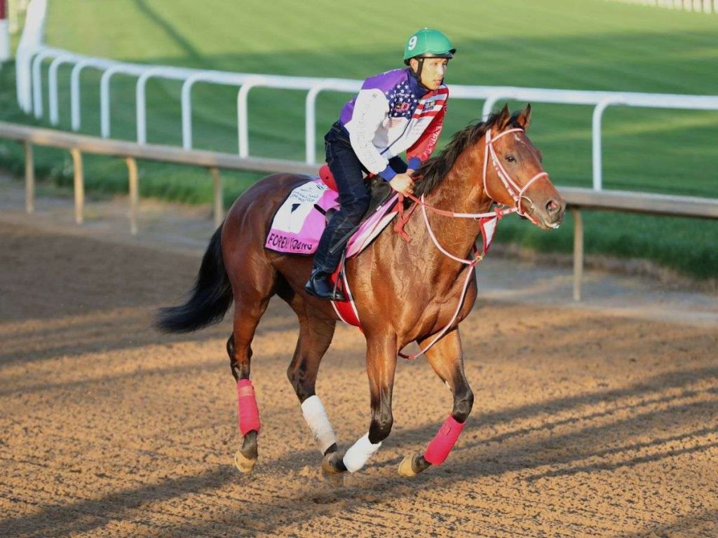 Forever-Young-va-el-sabado-por-su-segunda-Saudi-Cup.jpg