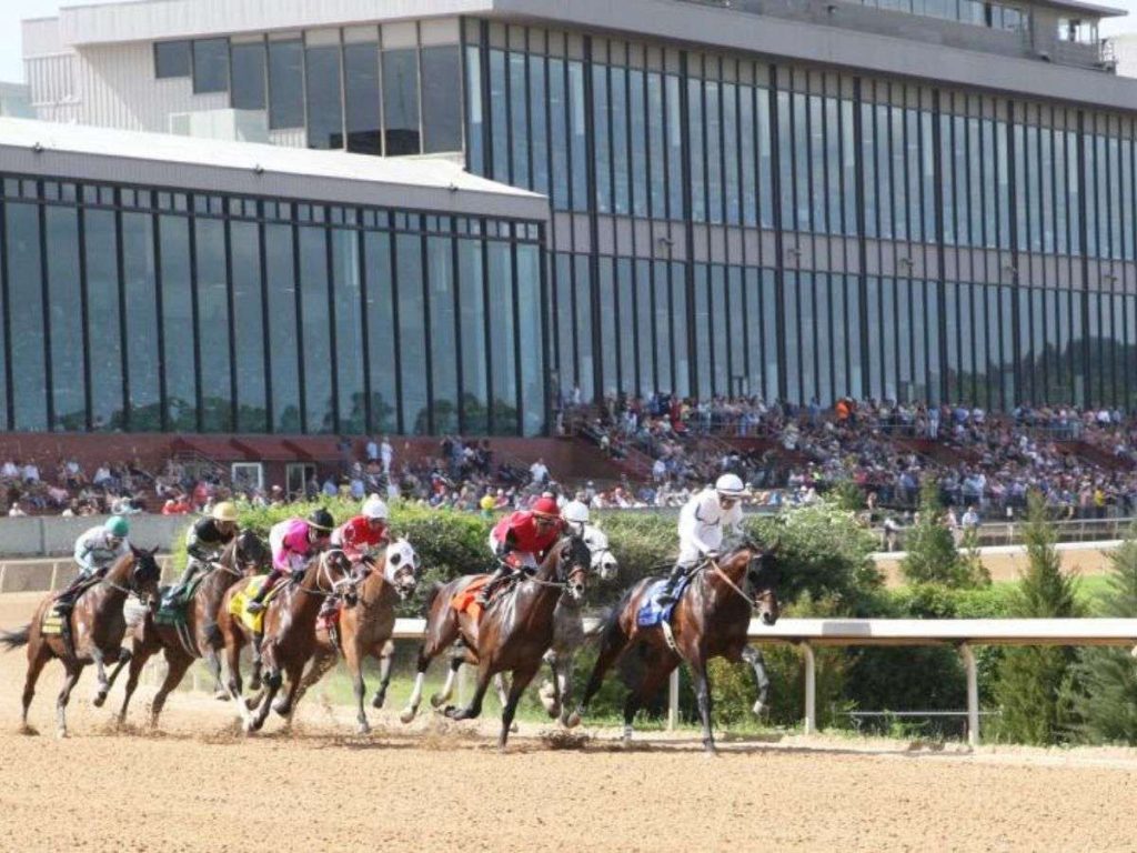 Gotham-y-Rebel-Stakes-en-la-ruta-al-Derby-2026.jpg