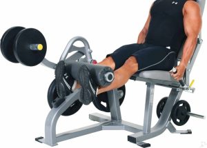 Hipertrofia-extension-vs-leg-press.jpg