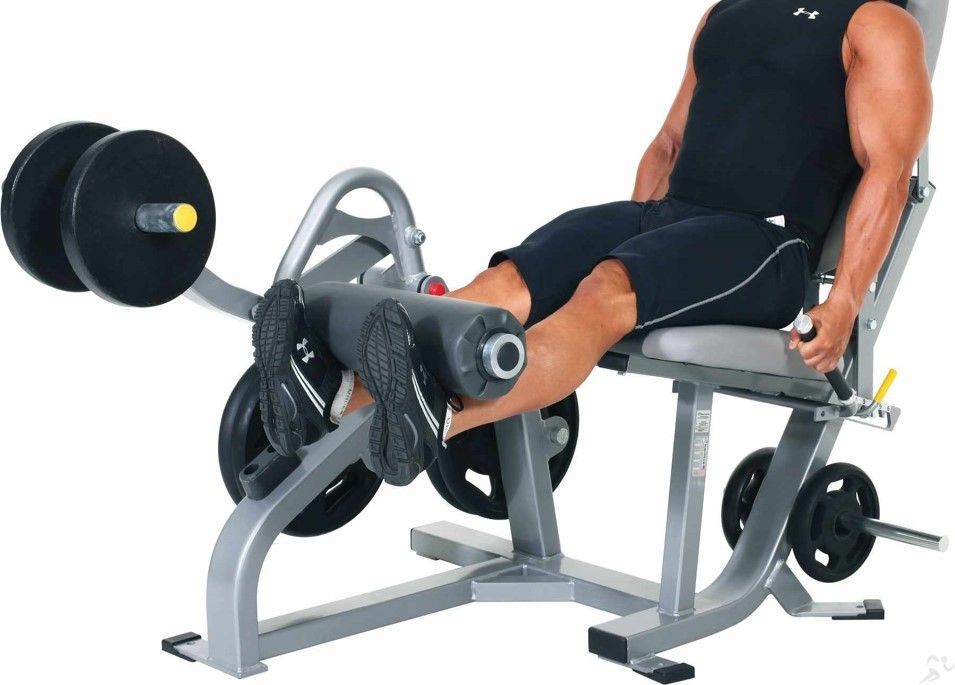 Hipertrofia-extension-vs-leg-press.jpg