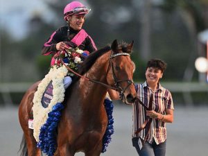 Junior-Alvarado-sufrio-caida-el-sabado-en-Gulfstream-Park.jpg