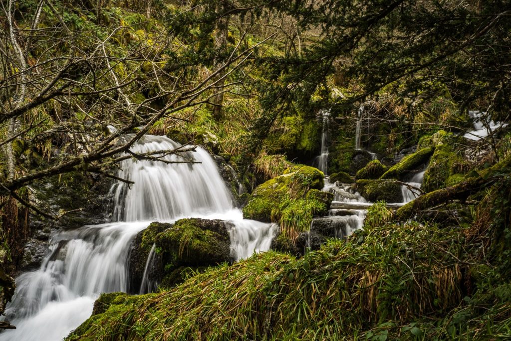 naturaleza-entre-tejos-y-pizarra.jpg