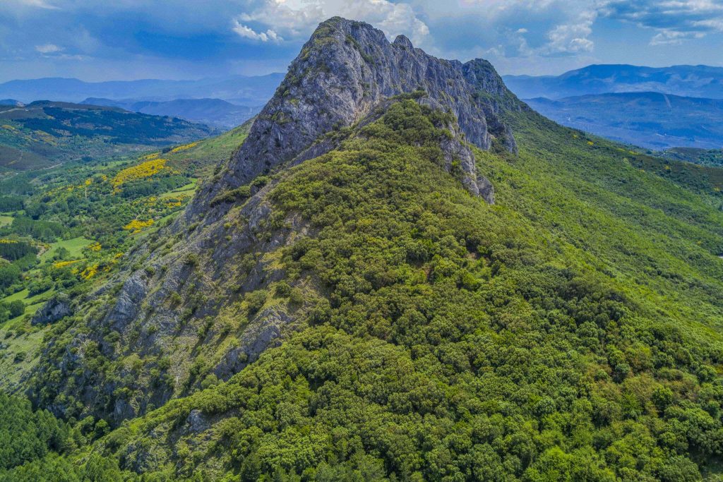 naturaleza-y-vinedos-en-Valdeorras.jpg