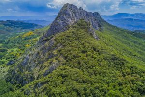 naturaleza-y-vinedos-en-Valdeorras.jpg