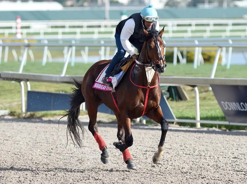 Bodexpress-servira-en-el-haras-Los-Caracaros.jpg