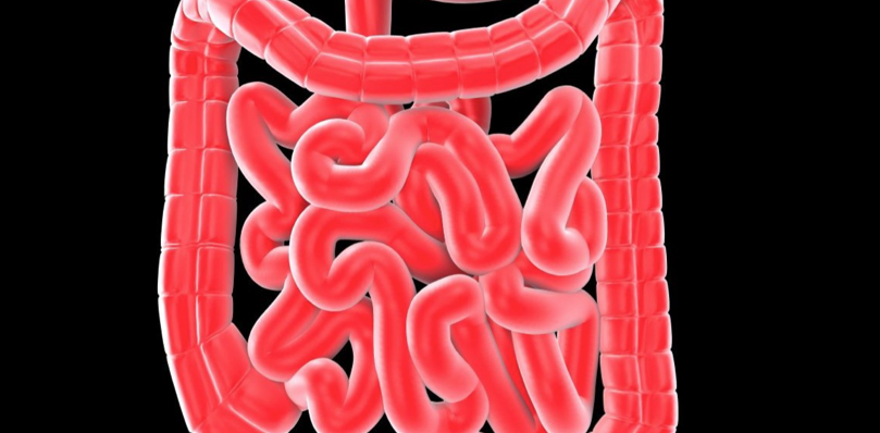 Constatan-avances-en-el-tratamiento-de-enfermedades-intestinales-intratables-mediante.png