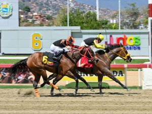 Farolera-en-cerrado-final-se-gano-a-Princess-Warrior.jpg