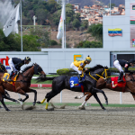 Gran Yaco dominó el José María Vargas