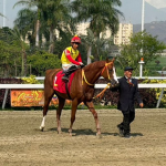 Humberto Correia: “Preposition es la carta crédito de la cuadra”