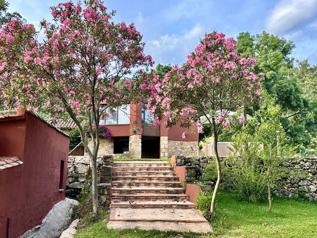 Primavera-a-domicilio-casas-rurales-donde-ver-florecer-el-campo.jpg
