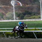 Princesa Fina muy superior en la Copa Negresco