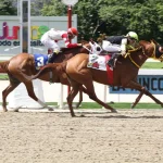 Prosiguen traqueos en los hipódromos