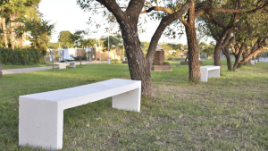 Francesco-Lovaglio-Tafuri-Construccion-de-bancos-de-plaza.png