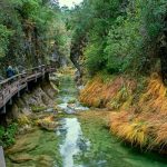 Guía definitiva de la Cerrada de Elías de Jaén